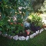 Apartman Borik