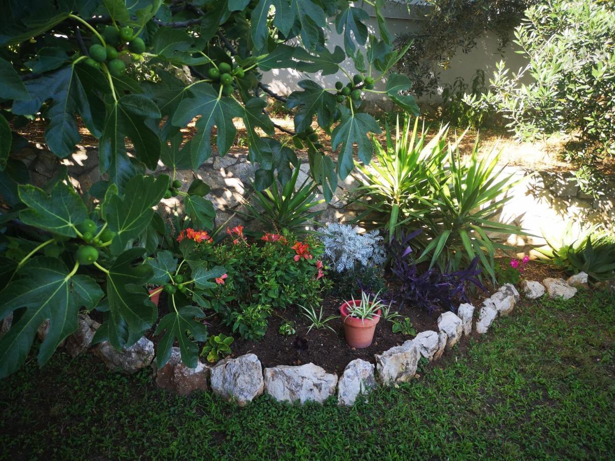 Apartman Borik Appartement Zadar